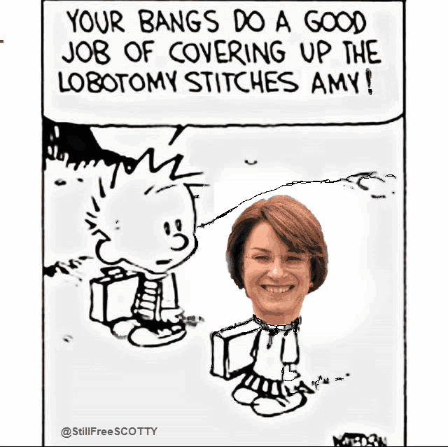 a cartoon shows a woman and a boy and says your bangs do a good job of covering up the lobectomy