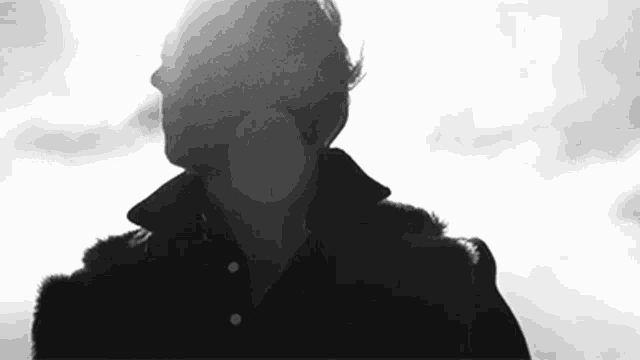 a man in a fur coat is standing in the sunlight