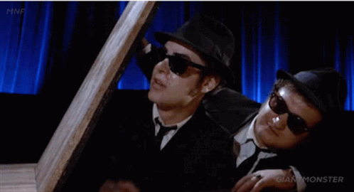 The Blues Brothers Brothers GIF - The Blues Brothers Brothers Later GIFs
