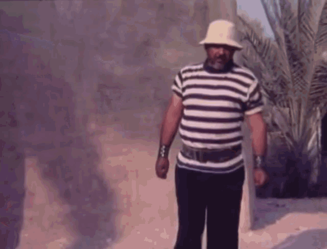 a man wearing a striped shirt and a hat stands in front of palm trees