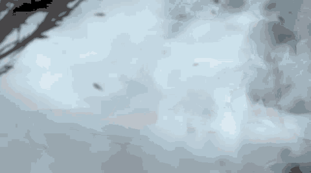 a silhouette of a person standing in a foggy room with a light coming out of it