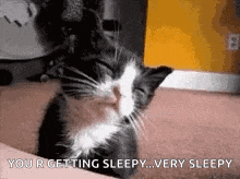 a black and white cat is sleeping on a person 's lap and says `` your getting sleepy ... very sleepy '' .