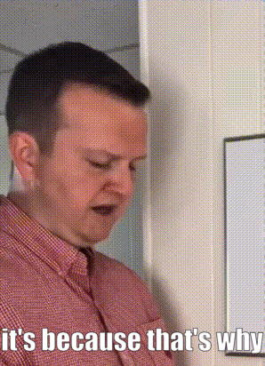 It'S Because That'S Why Bobby Finn GIF