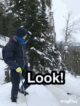 a person standing in the snow with the word look written on it