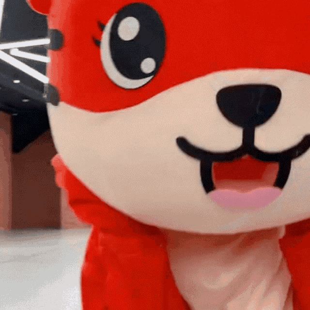 a close up of a mascot in a red fox costume .