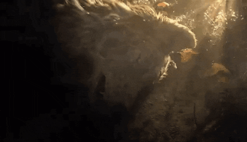 a lion is swimming underwater in a cave with leaves in the water .