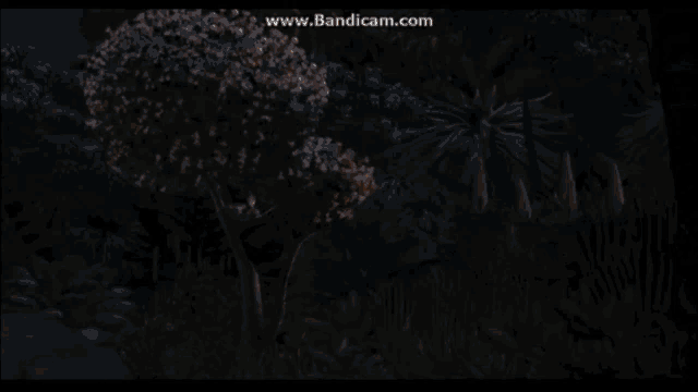 a group of cartoon animals standing next to each other with the website www.bandicam.com at the bottom of the screen