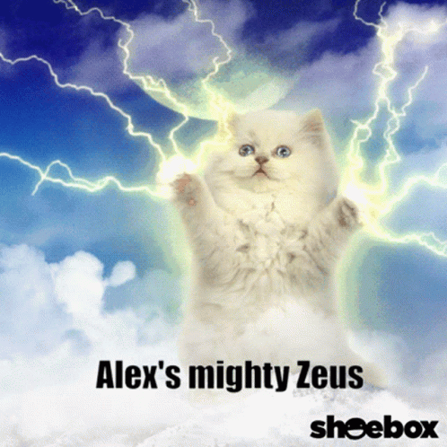 Alex Zeus Zeus GIF - Alex Zeus Zeus Chmurax GIFs