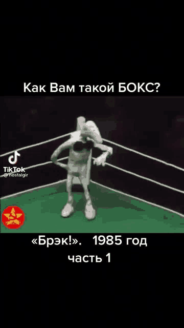 a cartoon character is standing in a boxing ring in a tiktok video .