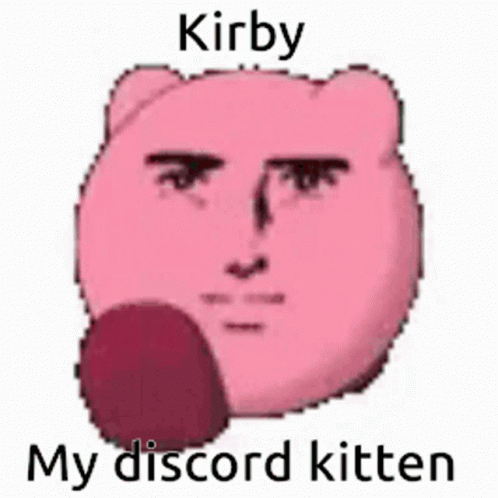 Kirby Discord Kitten GIF