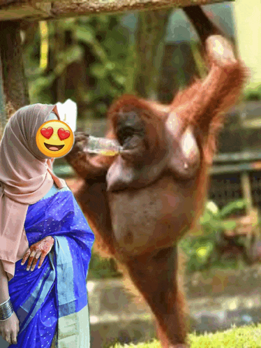 a woman in a hijab stands next to a monkey drinking from a bottle