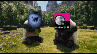 two panda bears are sitting in a field with vladlen written on the bottom
