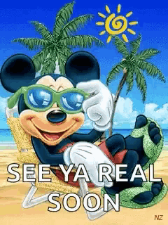 a picture of mickey mouse wearing sunglasses on the beach with the words see ya real soon