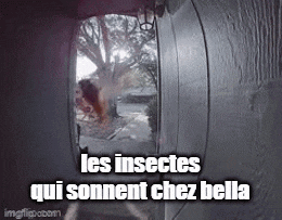a picture of a door with the words les insectes qui sonnent chez bella