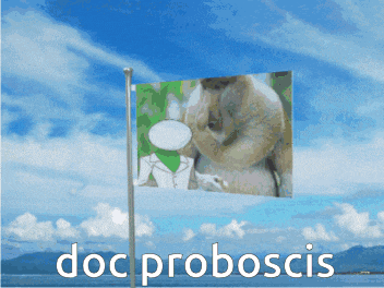 a flag that says doc proboscis with a picture of a monkey