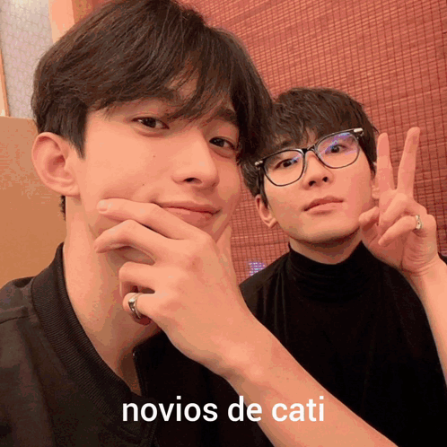 Novios De Cati Wonwoo GIF - Novios De Cati Wonwoo Dk GIFs