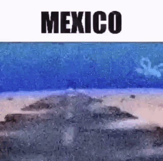 Mexico Spongebob GIF - Mexico Spongebob Krabby Patty GIFs