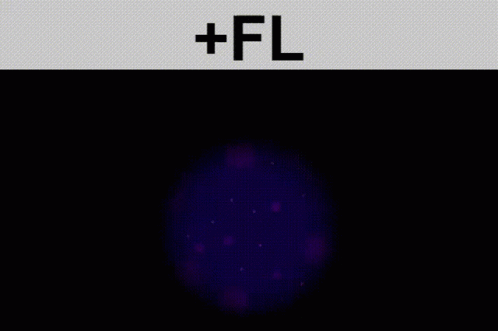 Fl Flashlight GIF - Fl Flashlight Osu GIFs