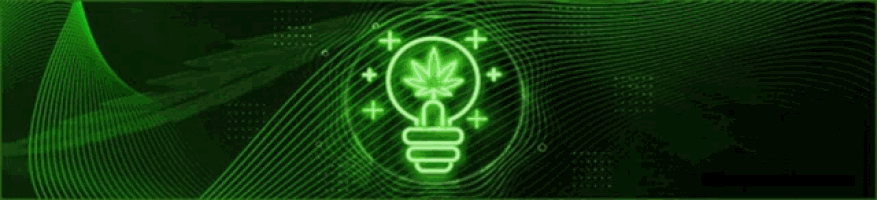 a light bulb with a marijuana leaf inside of it