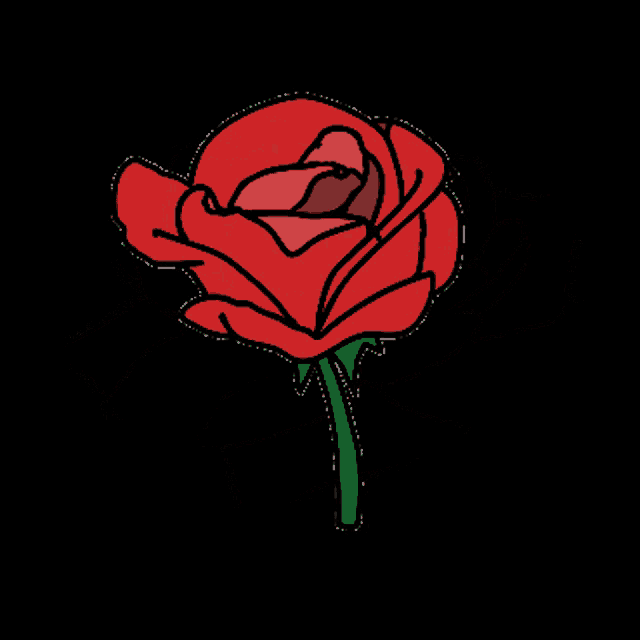 a red rose on a black background with a green stem