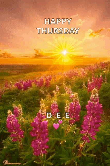 a picture of a field of flowers with the words happy thursday