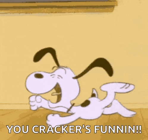 a cartoon dog is laying on the floor with the words `` you cracker 's funnin '' written below it .