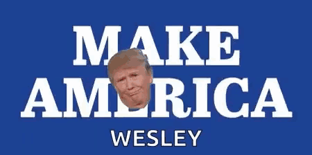 donald trump 's face is on a blue background with the words make america wesley .
