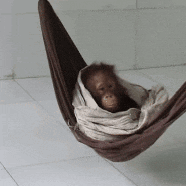 a small monkey is wrapped in a brown and white cloth