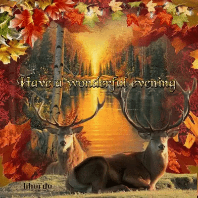 two deer laying in the grass with the words have a wonderful evening