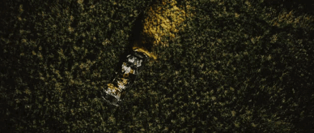 an aerial view of a vehicle in a forest