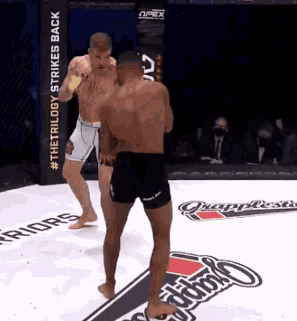 two men are fighting in a boxing ring with a sign that says the trilogy strikes back