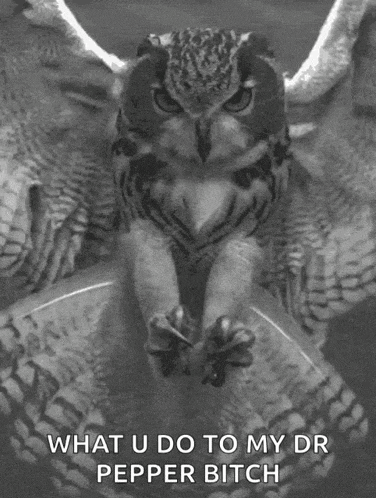a black and white photo of an owl with its wings outstretched .