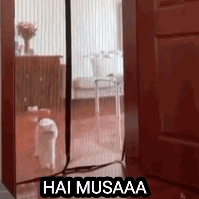Musa Jump GIF - Musa Jump Cat GIFs