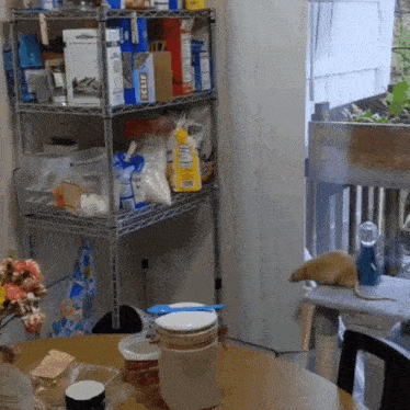 a shelf full of food including a bag of eclif