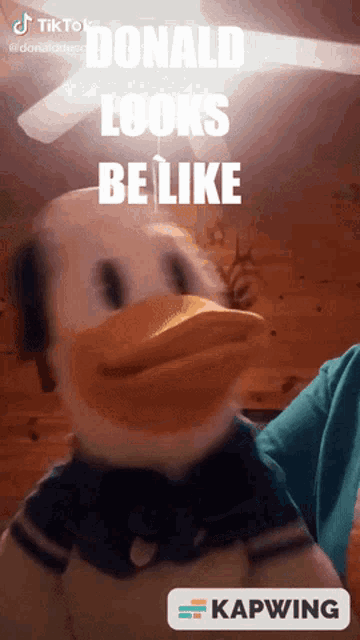 a picture of donald duck says donald looks be like