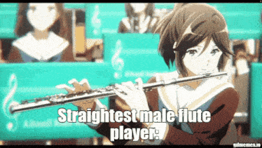 a girl in a school uniform is playing a flute with the words straightest male flute player below her .
