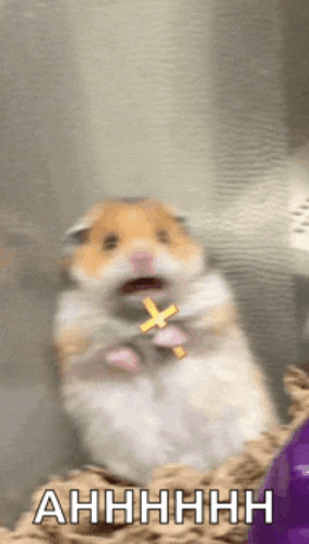a hamster is holding a cross in its mouth and says ahhhhhhh