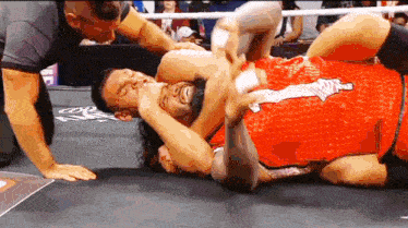 two men are wrestling in a ring and one of them is wearing a red jersey that says coca cola .