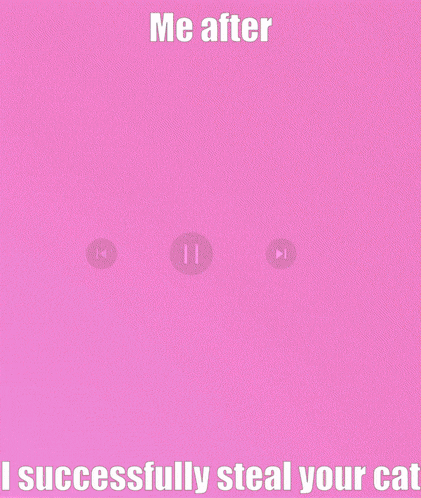 a pink and white background with the words me after i successfully steal your cat on the bottom
