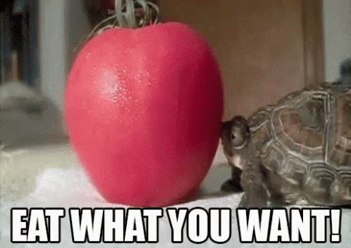 Eat What You Want! GIF - Turtle Eatwhatyouwant GIFs