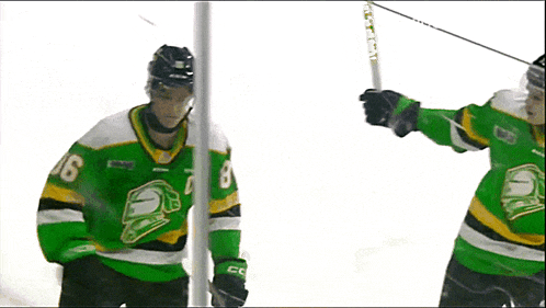 a hockey player wearing a green jersey with the number 8 on it is shaking hands with another player