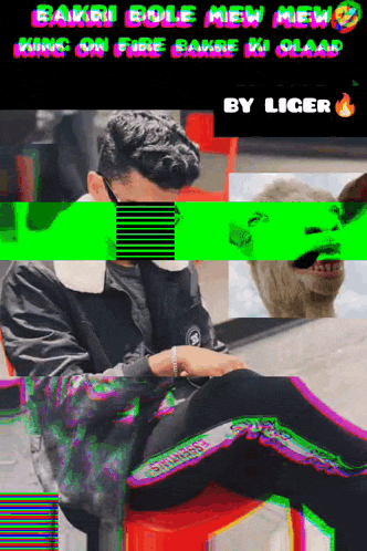 a man is sitting on a red chair with the words bakri bole mew mew king on fire bakre ki klaar by liger