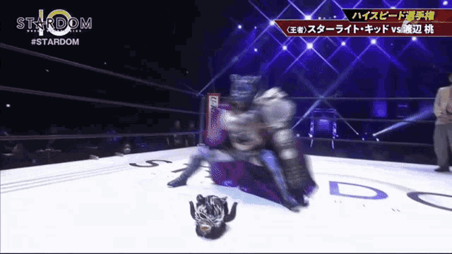 a wrestling match is being shown on stardom television