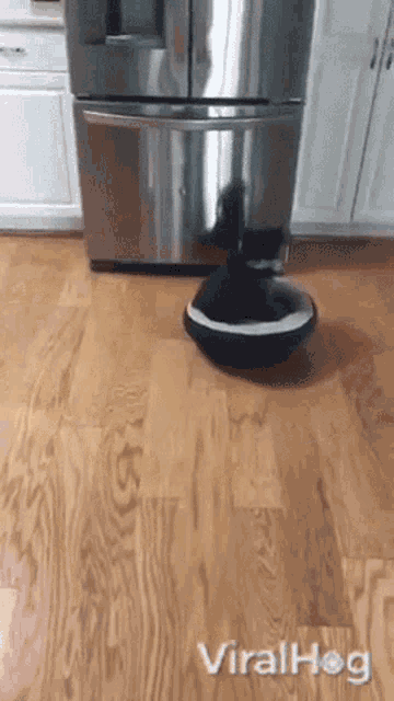 Vacuum Viralhog GIF - Vacuum Viralhog Dog GIFs