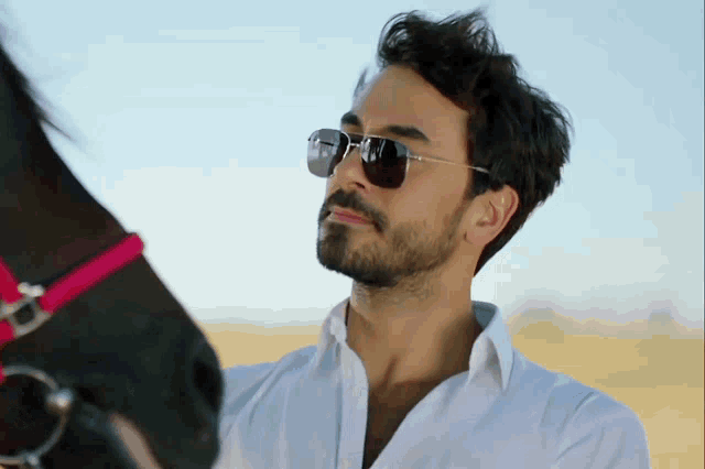 a man wearing sunglasses and a white shirt stands next to a horse