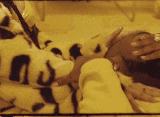 a person wearing a leopard print blanket is laying down