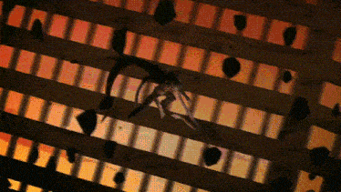a spider is crawling on a wooden fence with a sunset in the background