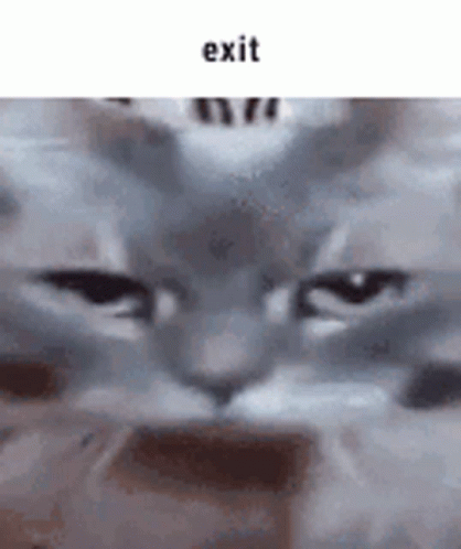 Exit GIF - Exit GIFs