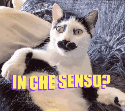 a black and white cat with a mustache is laying on a blanket with the words in che senso written above it