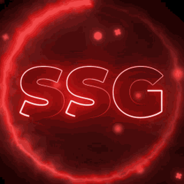 Ssg GIF - Ssg GIFs